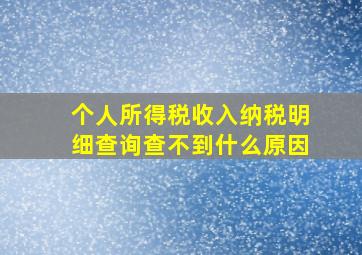 个人所得税收入纳税明细查询查不到什么原因