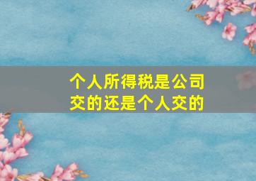 个人所得税是公司交的还是个人交的