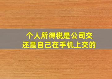 个人所得税是公司交还是自己在手机上交的