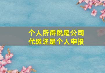 个人所得税是公司代缴还是个人申报