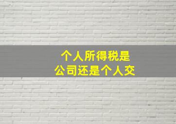 个人所得税是公司还是个人交