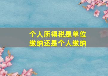 个人所得税是单位缴纳还是个人缴纳