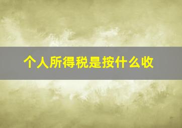 个人所得税是按什么收