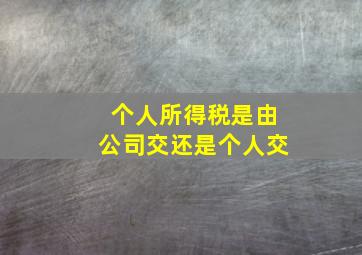 个人所得税是由公司交还是个人交