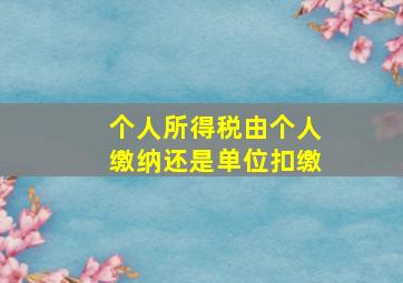 个人所得税由个人缴纳还是单位扣缴