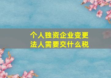 个人独资企业变更法人需要交什么税