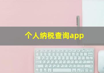 个人纳税查询app