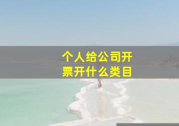 个人给公司开票开什么类目