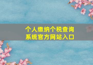 个人缴纳个税查询系统官方网站入口