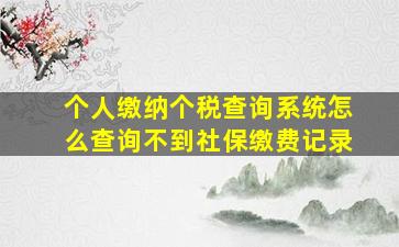 个人缴纳个税查询系统怎么查询不到社保缴费记录