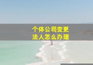 个体公司变更法人怎么办理