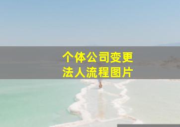 个体公司变更法人流程图片