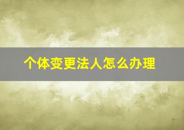 个体变更法人怎么办理