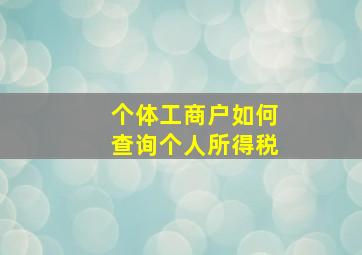 个体工商户如何查询个人所得税