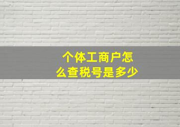 个体工商户怎么查税号是多少