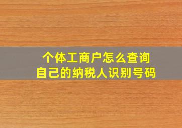 个体工商户怎么查询自己的纳税人识别号码