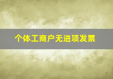 个体工商户无进项发票