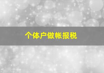 个体户做帐报税