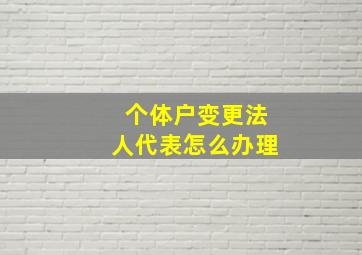 个体户变更法人代表怎么办理