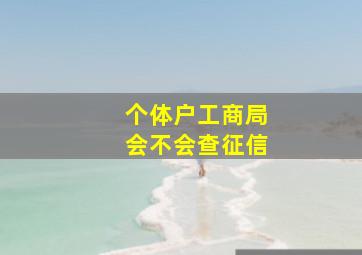 个体户工商局会不会查征信