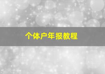 个体户年报教程