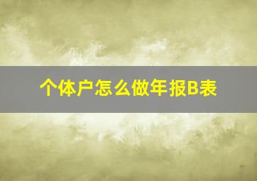 个体户怎么做年报B表