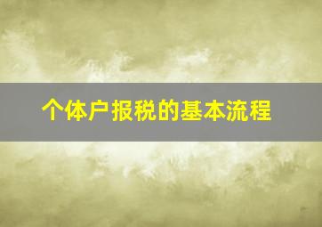 个体户报税的基本流程