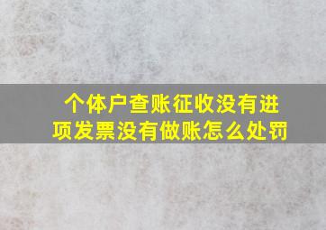 个体户查账征收没有进项发票没有做账怎么处罚