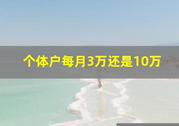 个体户每月3万还是10万