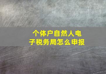 个体户自然人电子税务局怎么申报