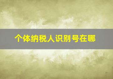 个体纳税人识别号在哪