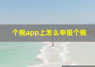 个税app上怎么申报个税