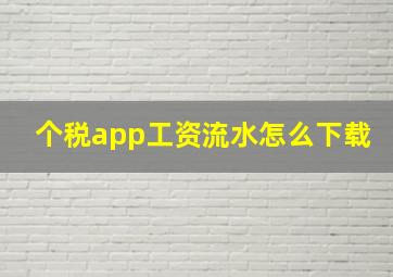 个税app工资流水怎么下载