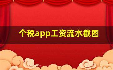 个税app工资流水截图