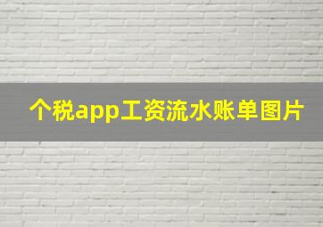 个税app工资流水账单图片