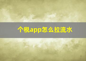 个税app怎么拉流水