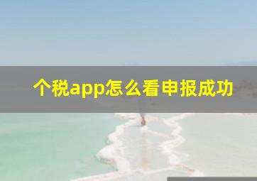 个税app怎么看申报成功