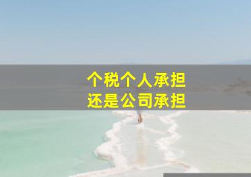 个税个人承担还是公司承担