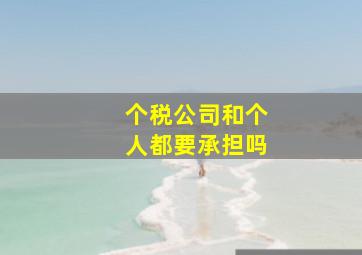 个税公司和个人都要承担吗