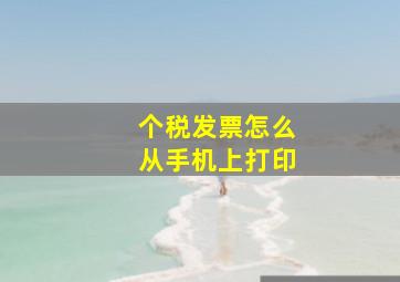 个税发票怎么从手机上打印