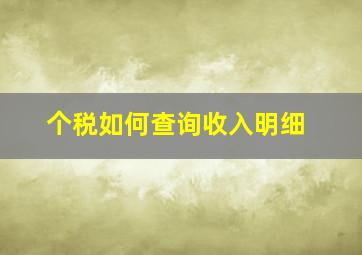 个税如何查询收入明细