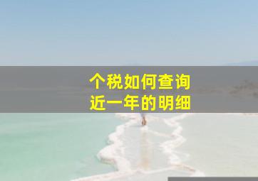 个税如何查询近一年的明细