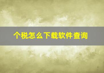 个税怎么下载软件查询