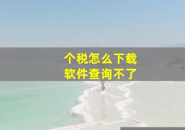 个税怎么下载软件查询不了