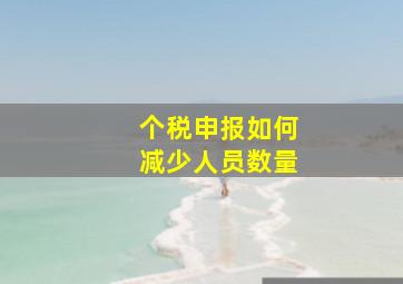 个税申报如何减少人员数量