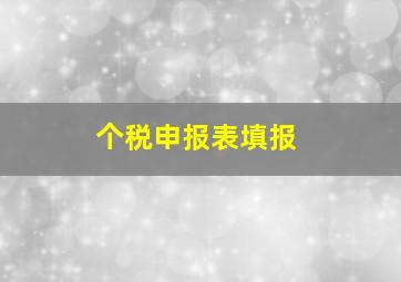 个税申报表填报