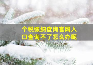 个税缴纳查询官网入口查询不了怎么办呢