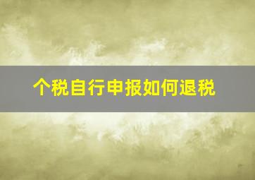 个税自行申报如何退税