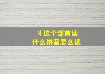 丬这个部首读什么拼音怎么读