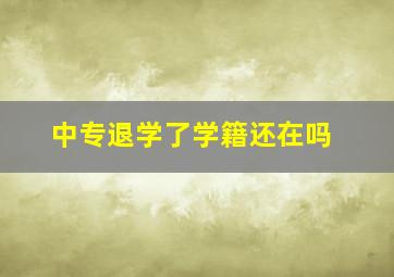 中专退学了学籍还在吗